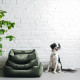 Лежак для собак Harley and Cho Dreamer Velour Green XL 110×70 см
