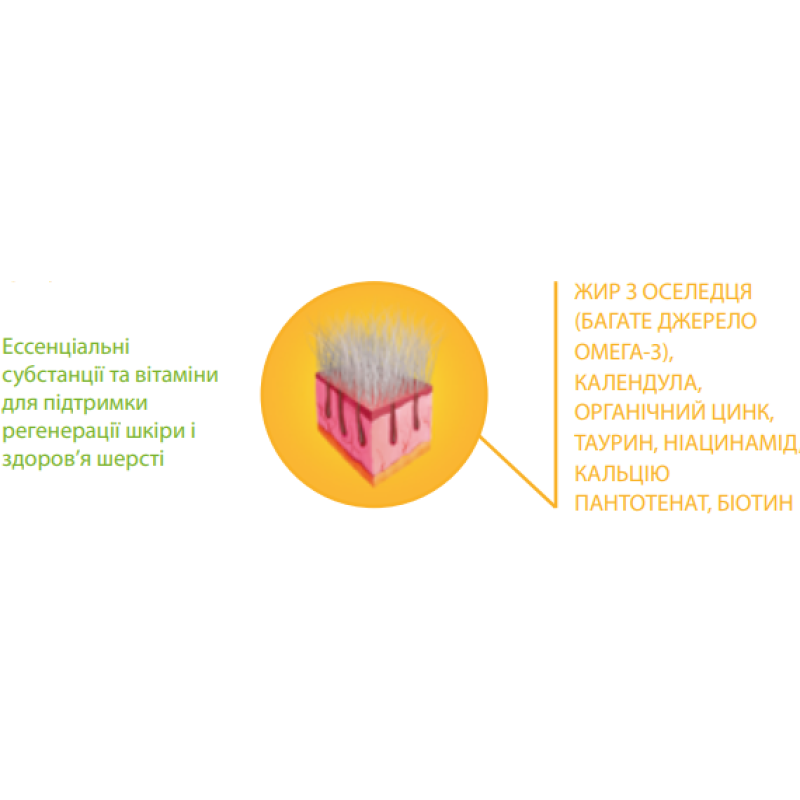 Ласощі Canvit Skin and Coat для котів 100 г