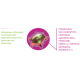 Ласощі Canvit Immunity для собак 200 г