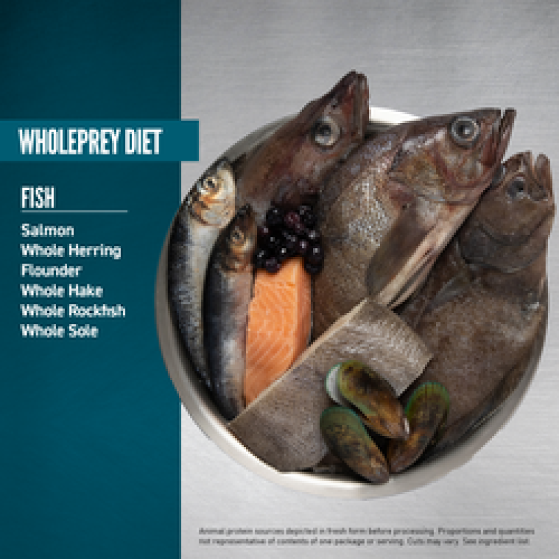 Сухий корм ORIJEN Small Breed Marine Fish з морською рибою для дорослих собак малих порід, 1.8 кг