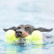 Іграшка для собак KONG AirDog Squeaker Bone (кістка з пискавкою), розмір, S