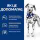 Сухий корм Hill's Prescription Diet u/d для собак, підтримка сечовидільної системи, 4 кг