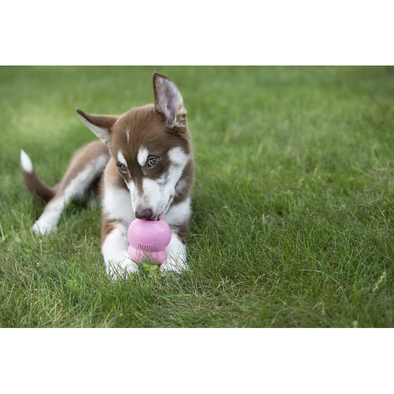 Жувальна іграшка для цуценят KONG Puppy (для наповнення ласощами), розмір S