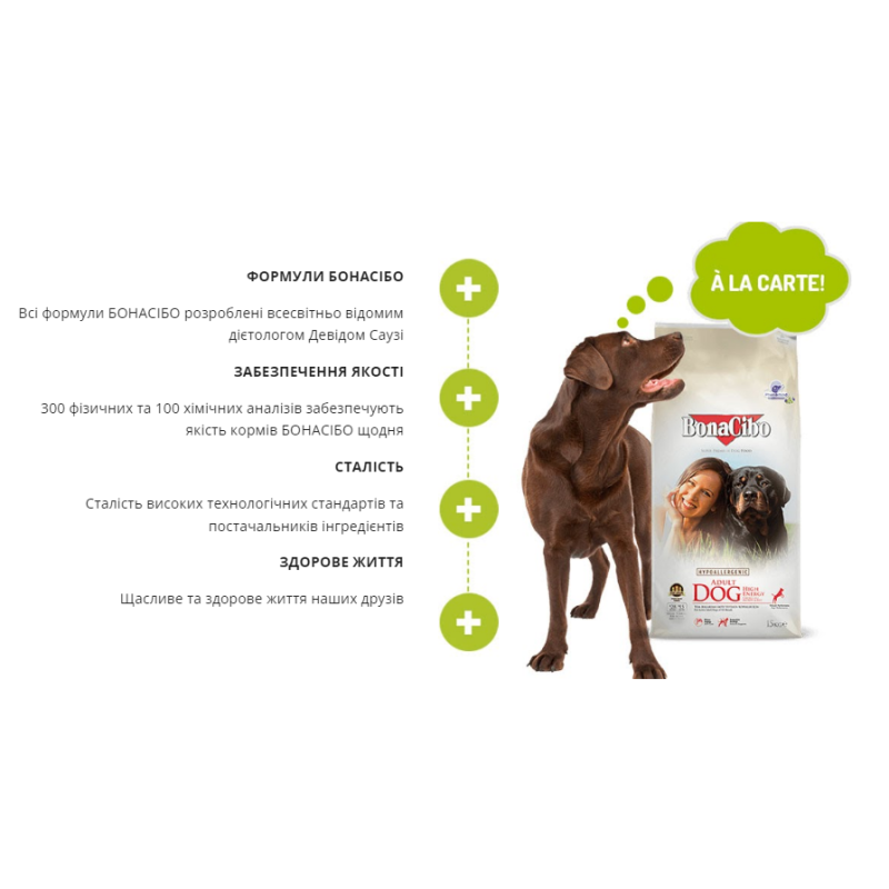 Сухий корм BonaCibo Adult Dog Chicken & Rice with Anchovy для дорослих собак, 15 кг