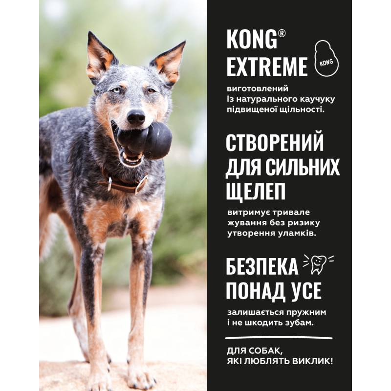 Іграшка для собак KONG Extreme жувальна (для наповнення ласощами), розмір L