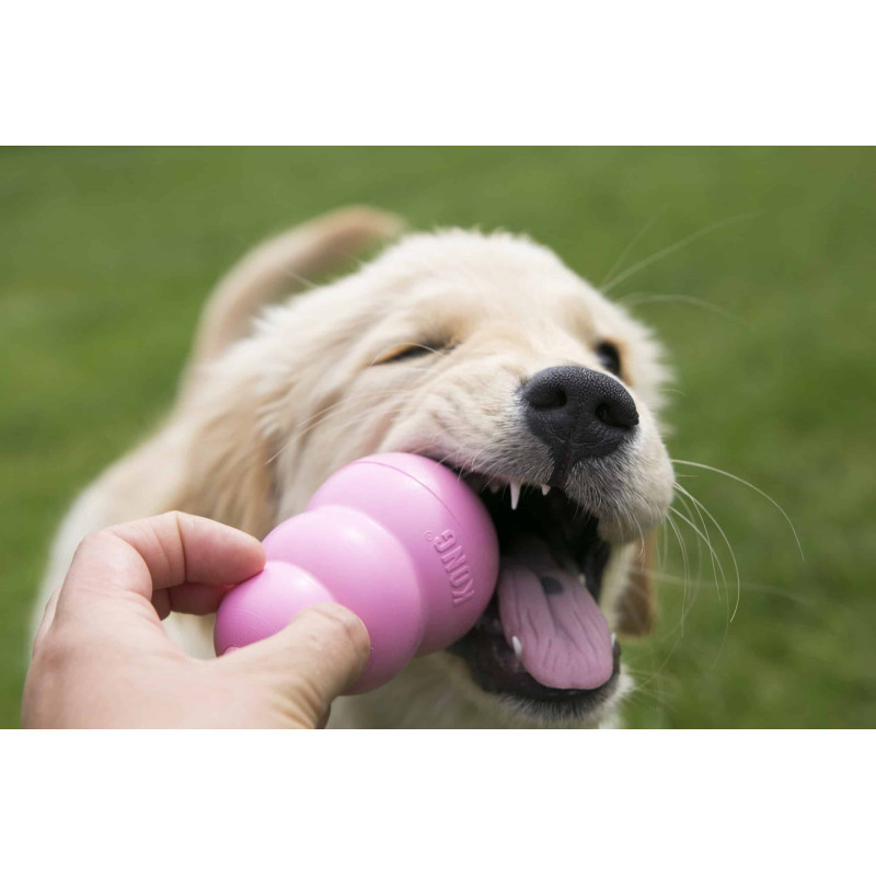 Жувальна іграшка для цуценят KONG Puppy (для наповнення ласощами), розмір M