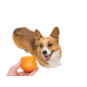 Інтерактивна іграшка для собак West Paw Toppl Large Tangerine для ласощів 10 см