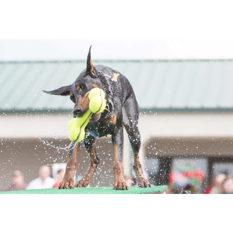 Іграшка для собак KONG AirDog Squeaker Bone (кістка з пискавкою), розмір, L