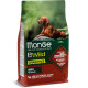 Сухий корм Monge Dog Bwild Grain Free з ягням для дорослих собак, 2.5 кг