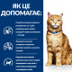 Вологий корм Hill's PRESCRIPTION DIET c/d для котів для підтримки сечовидільної системи, з куркою, пауч 85 г