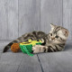 Іграшка для котів KONG Wrangler AvoCATo з м’ячиком-клубком