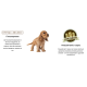 Сухий корм BonaCibo Adult Dog Form (Senior/Over Weight - Chicken) для літніх собак та собак із зайвою вагою, 4 кг