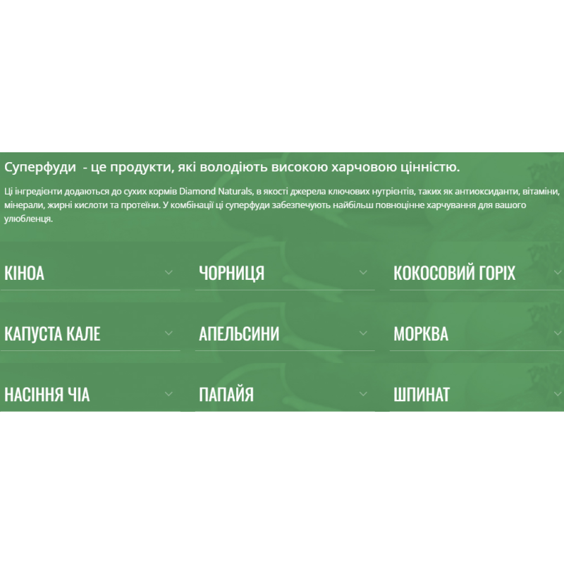 Сухий корм Diamond Naturals Adult Large Breed Chicken & Rice для дорослих собак великих порід, 15 кг