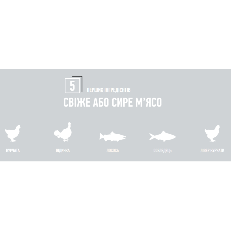 Сухий корм ORIJEN Kitten з м’ясом птиці та риби для кошенят, 1.8 кг
