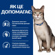 Сухой корм Hill's PRESCRIPTION DIET k/d с ActivBiome+ Kidney Defense с курицей для кошек для поддержки функции почек, 1,5 кг