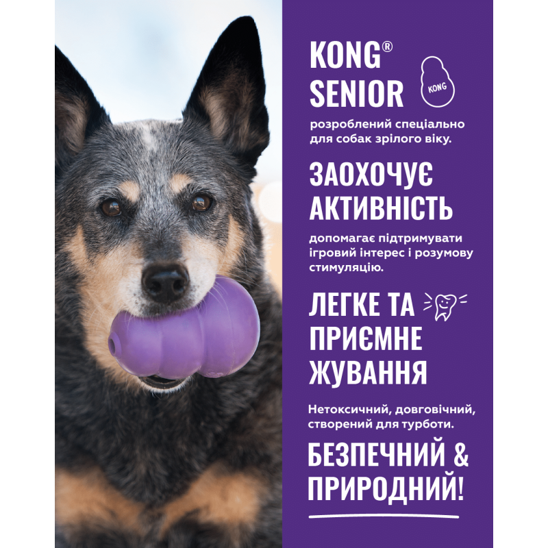Жувальна іграшка для собак KONG Senior (для наповнення ласощами), розмір S