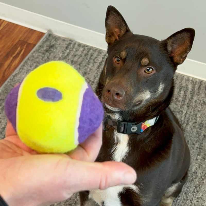 Іграшка для собак KONG AirDog Squeaker Knobby Ball (м’яч з пискавкою), розмір XS/S