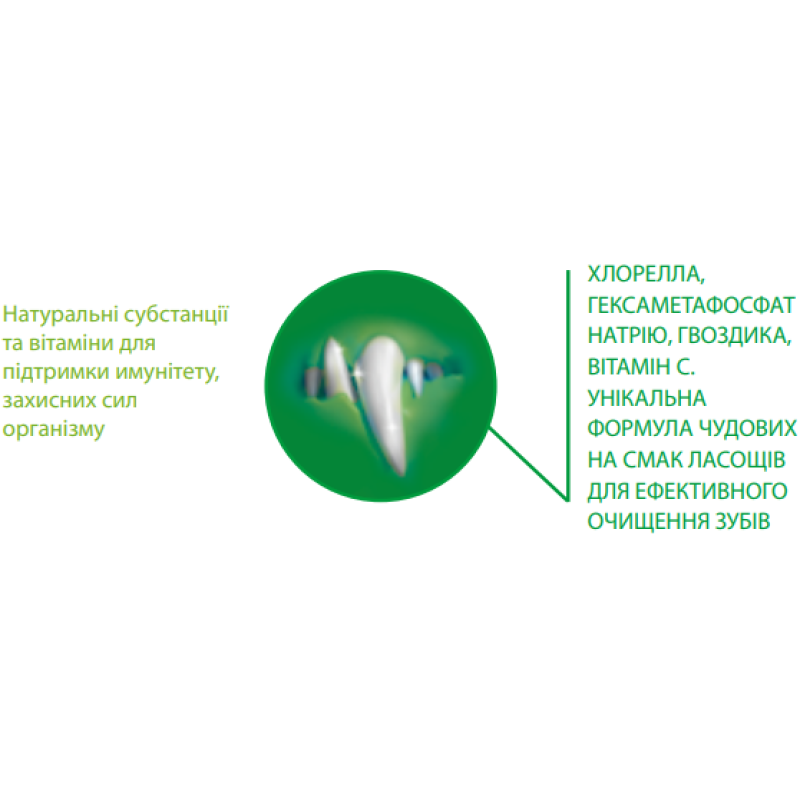 Ласощі Canvit Dental LB для собак великих порід 250 г