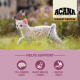 Сухий корм ACANA Highest Protein Kitten Recipe для кошенят з куркою, індичкою та оселедцем, 1,8 кг
