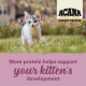 Сухий корм ACANA Highest Protein Kitten Recipe для кошенят з куркою, індичкою та оселедцем, 1,8 кг