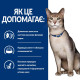 Вологий корм Hill's PRESCRIPTION DIET k/d для котів для підтримки функції нирок, з яловичиною, пауч 85 г