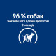 Сухий корм Hill's Prescription Diet Metabolic для собак з куркою, контроль і зниження ваги, 12 кг