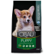 Сухий корм ( Фарміна ) Farmina Cibau Puppy Medium для цуценят середніх порід з куркою 2,5 кг