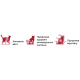 Сухий корм BonaCibo Adult Cat з куркою, рисом та анчоусом для дорослих котів, 5 кг