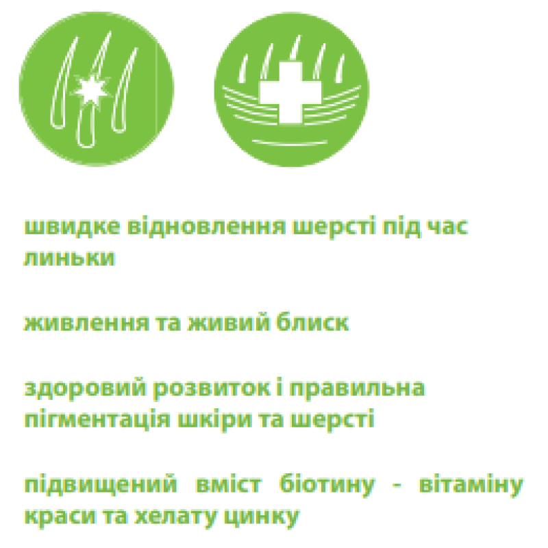 Вітамінно-мінеральна добавка Canvit Biotin для котів, для підтримки здоров'я шкіри та блиску шерсті 100 г