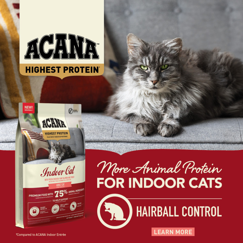 Сухий корм ACANA Highest Protein Indoor Cat з куркою, індичкою та оселедцем для домашніх котів, 1,8 кг