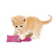 Игрушка для котят KONG Kickeroo Kitten (Кикеру Котеня)