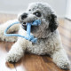 Жувальна іграшка для цуценят KONG Puppy Goodie Bone кістка з мотузкою, розмір XS