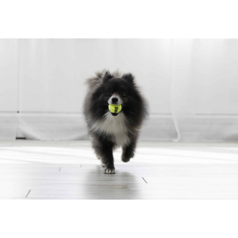 Іграшка для собак KONG SqueakAir Balls (тенісні м’ячі з пискавкою, набір 3 шт.) розмір XS