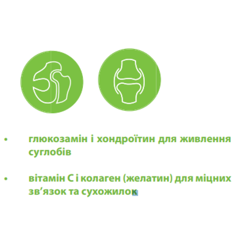 Вітамінний комплекс для собак Canvit Chondro для здоров’я суглобів і хрящів 100 г