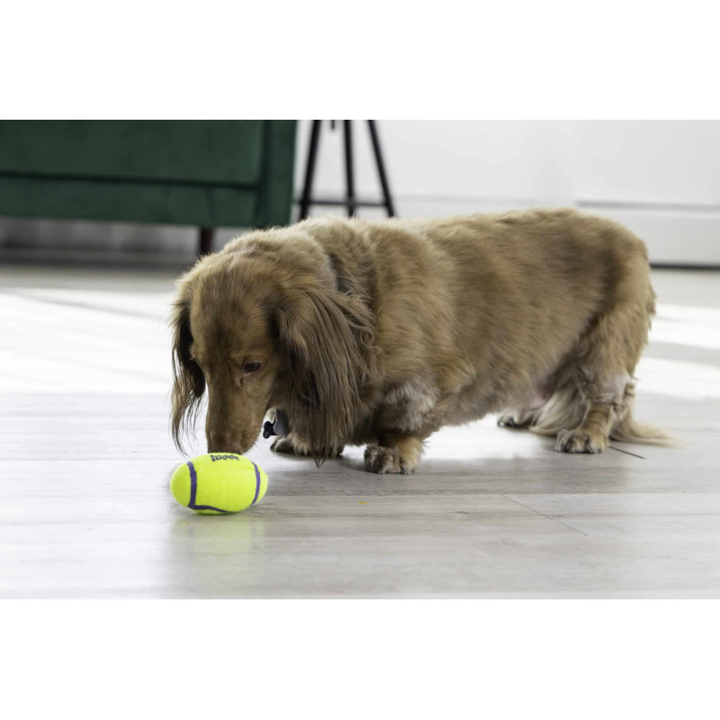 М’яч для собак KONG AirDog Squeak Football (регбі м’яч з писком)  S