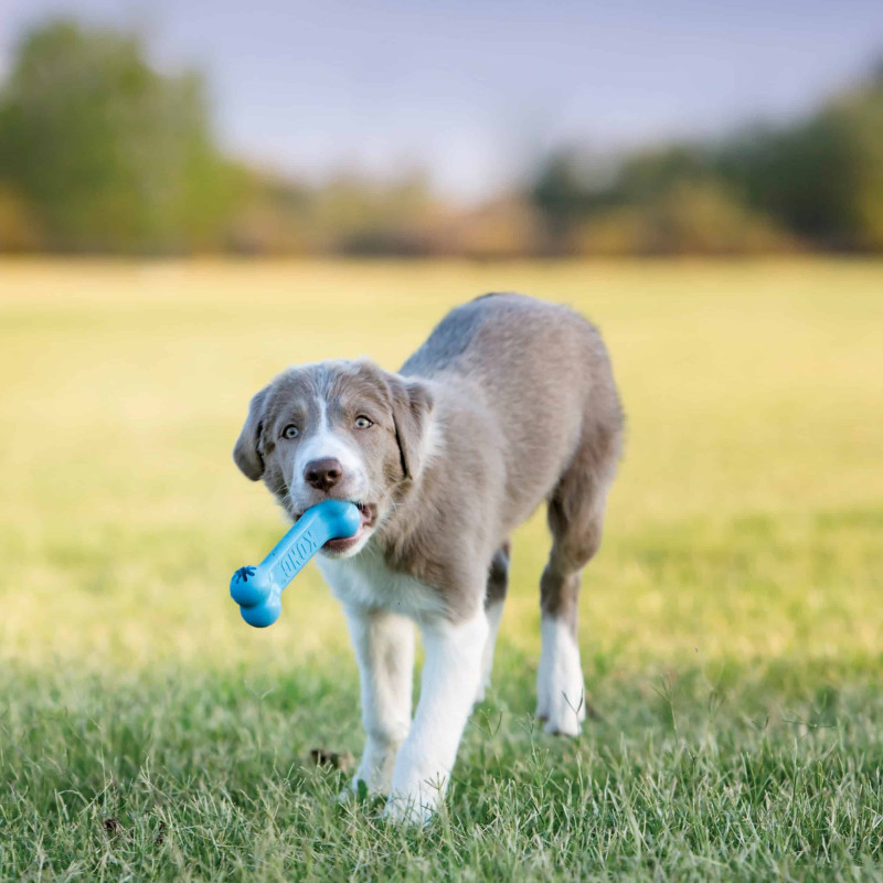 Жувальна іграшка для цуценят KONG Puppy Goodie Bone (кістка для наповнення ласощами), розмір S