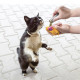Змінні блоки котячої м’яти для іграшок KONG Refillables Catnip Tubes 3×9 г