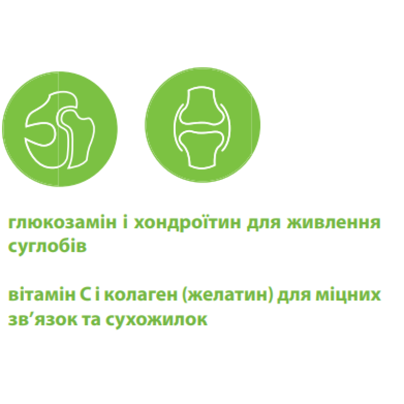 Вітамінний комплекс для собак Canvit Chondro Maxi для здоров’я суглобів і хрящів 500 г
