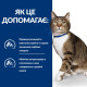 Вологий корм Hill's PRESCRIPTION DIET s/d для котів для підтримки сечовидільної системи, з куркою, пауч 85 г