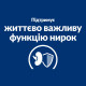 Сухий корм Hill's Prescription Diet k/d Early Stage з ActivBiome+ Kidney Defense для собак, підтримка функції нирок на ранній стадії захворювання, 1,5 кг