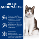 Сухий корм Hill's PRESCRIPTION DIET Gastrointestinal Biome Stress з куркою для котів при розладах травлення та підтримки при дії стресових факторів, 3 кг