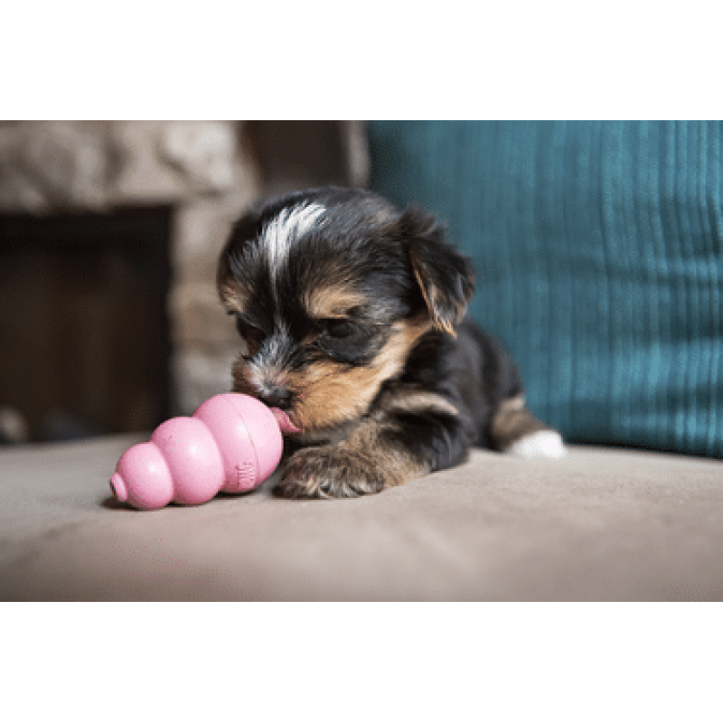 Жувальна іграшка для цуценят KONG Puppy (для наповнення ласощами), розмір, XS