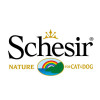 Schesir