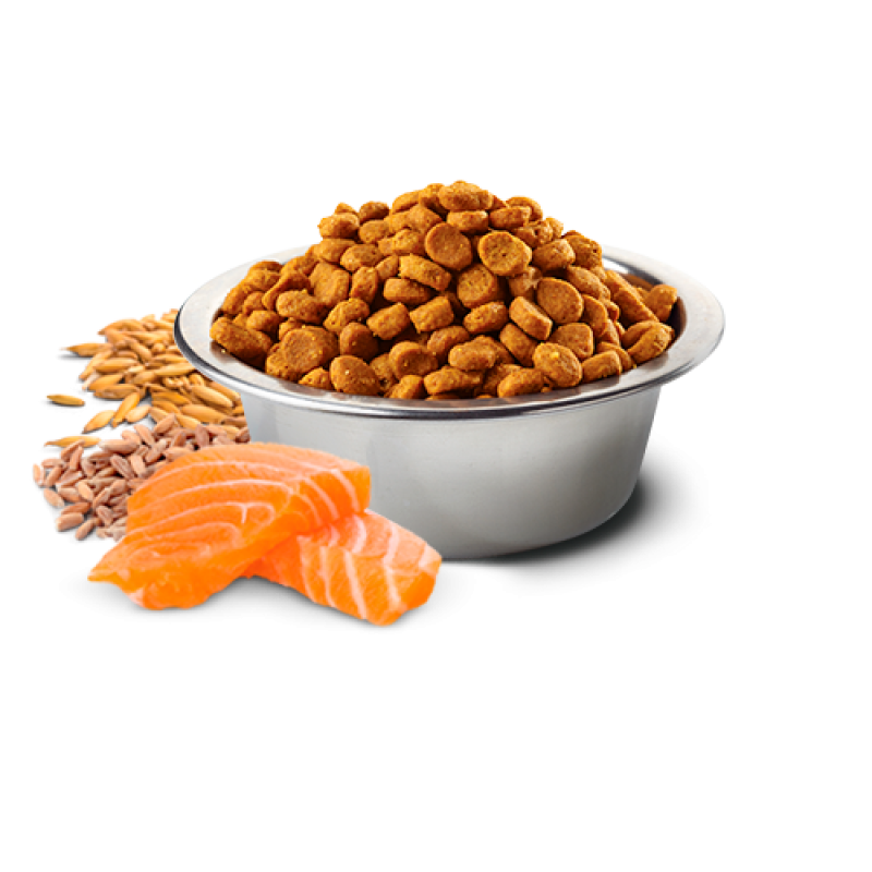 Сухий корм Farmina (Фарміна) Dog Low Grain Salmon & Tropical Fruits Adult Mini для дорослих собак міні порід з лососем та тропічними фруктами 1,5 кг