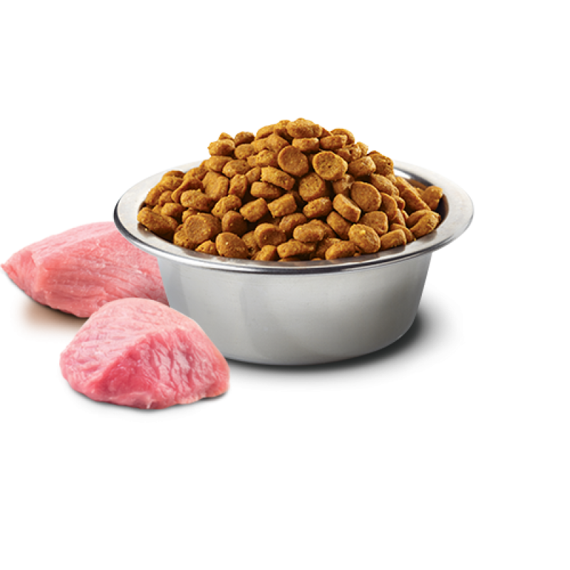 Сухий беззерновий корм Farmina (Фарміна) Dog Grain Free Chicken & Pomegranate Adult Medium & Maxi для собак з куркою та гранатом 12 кг