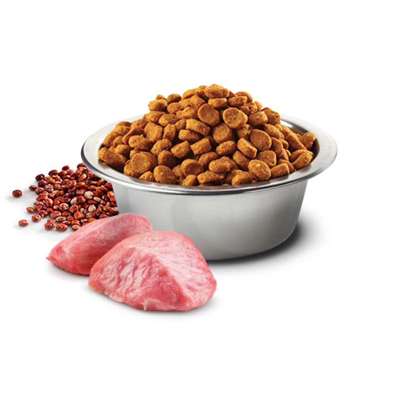 Сухий корм Farmina Dog Digestion N&D Quinoa Lamb & Fennel Adult Mini при порушеннях травлення у дорослих собак дрібних порід, з ягням та кіноа 2.5 кг