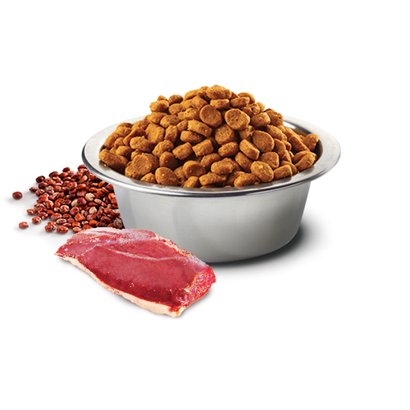 Сухий беззерновий корм Farmina (Фарміна) Dog Grain Free Quinoa Duck, Broccoli & Asparagus Neutered Adult Mini для собак міні порід з качкою 2,5 кг