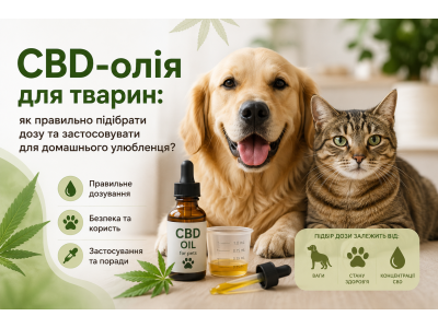 CBD-олія для тварин: як правильно підібрати дозу та застосовувати для домашнього улюбленця?