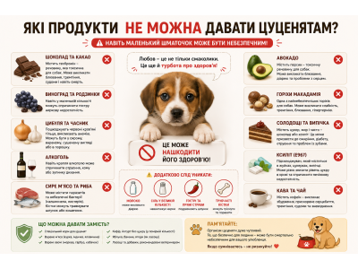 Які продукти не можна давати цуценятам?